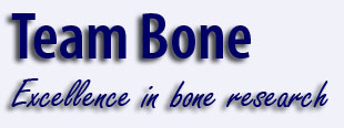 Team Bone
