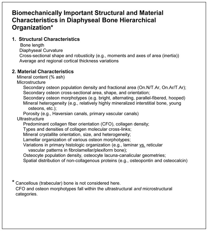 Biomechanics of Bone | Team Bone