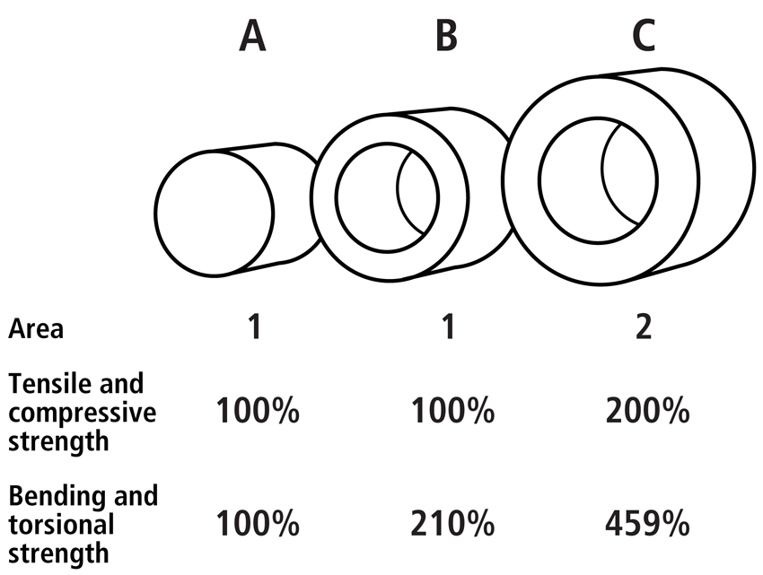 Biomechanics of Bone | Team Bone