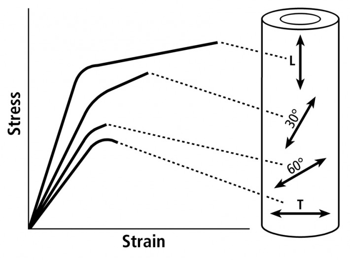 Bone Biomechanics, Fig. 5