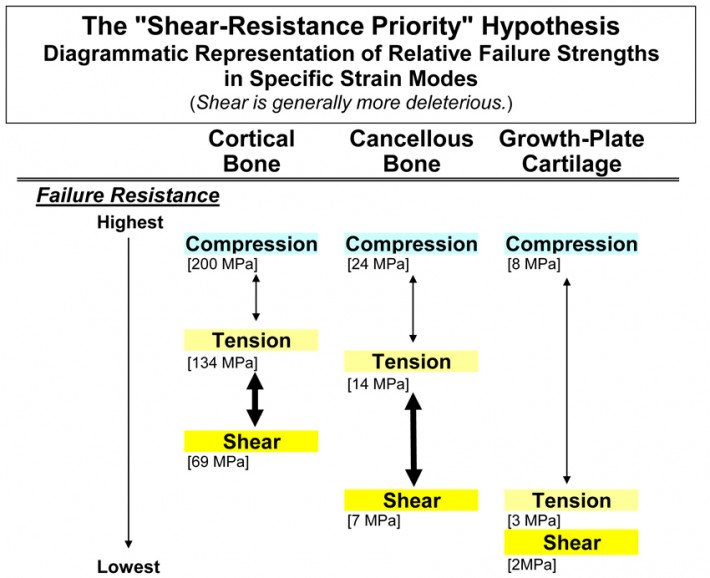 Stress Fx Fig 1