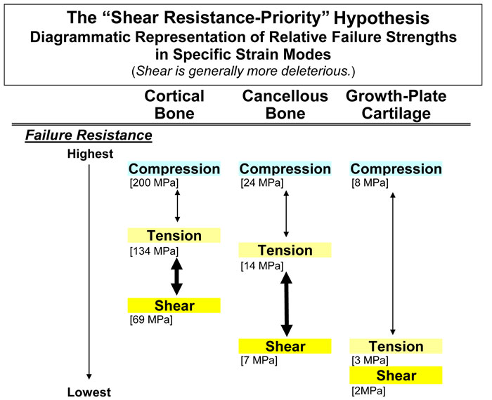 Shear and non-uniform compression.